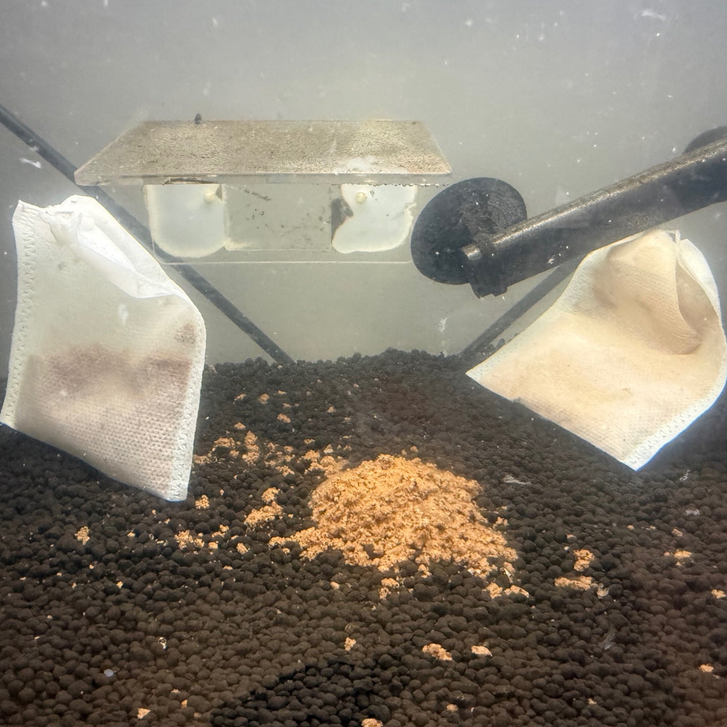 Biofilm Booster Cycle Tea | Beneficial Bacteria Growth | Natural Saponing Formula
