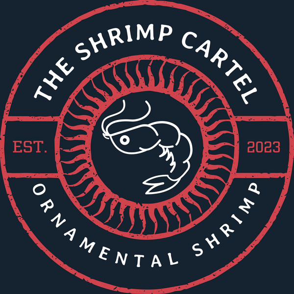The Shrimp Cartel